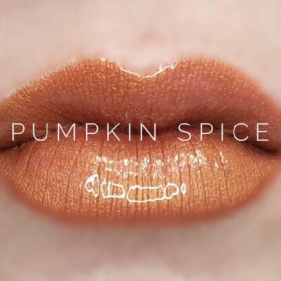 LipSense Lip Color, Pumpkin Spice (RETIRED, RARE FIND!) - Picture 1 of 5